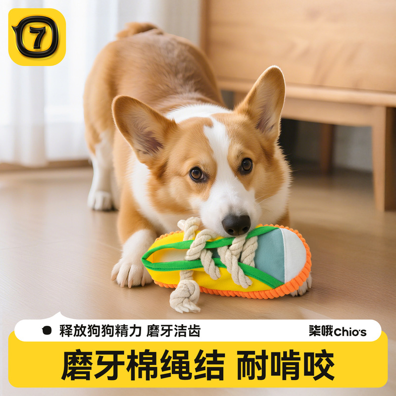 狗狗发声拖鞋玩具自嗨解闷绳结磨牙耐咬消耗体力中小型犬玩具|undefined