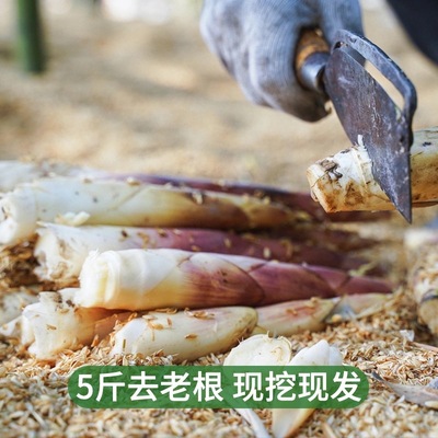 临安天目山春笋新鲜现挖竹笋雷笋孵笋早笋嫩大号蔬菜5斤约15根|ru