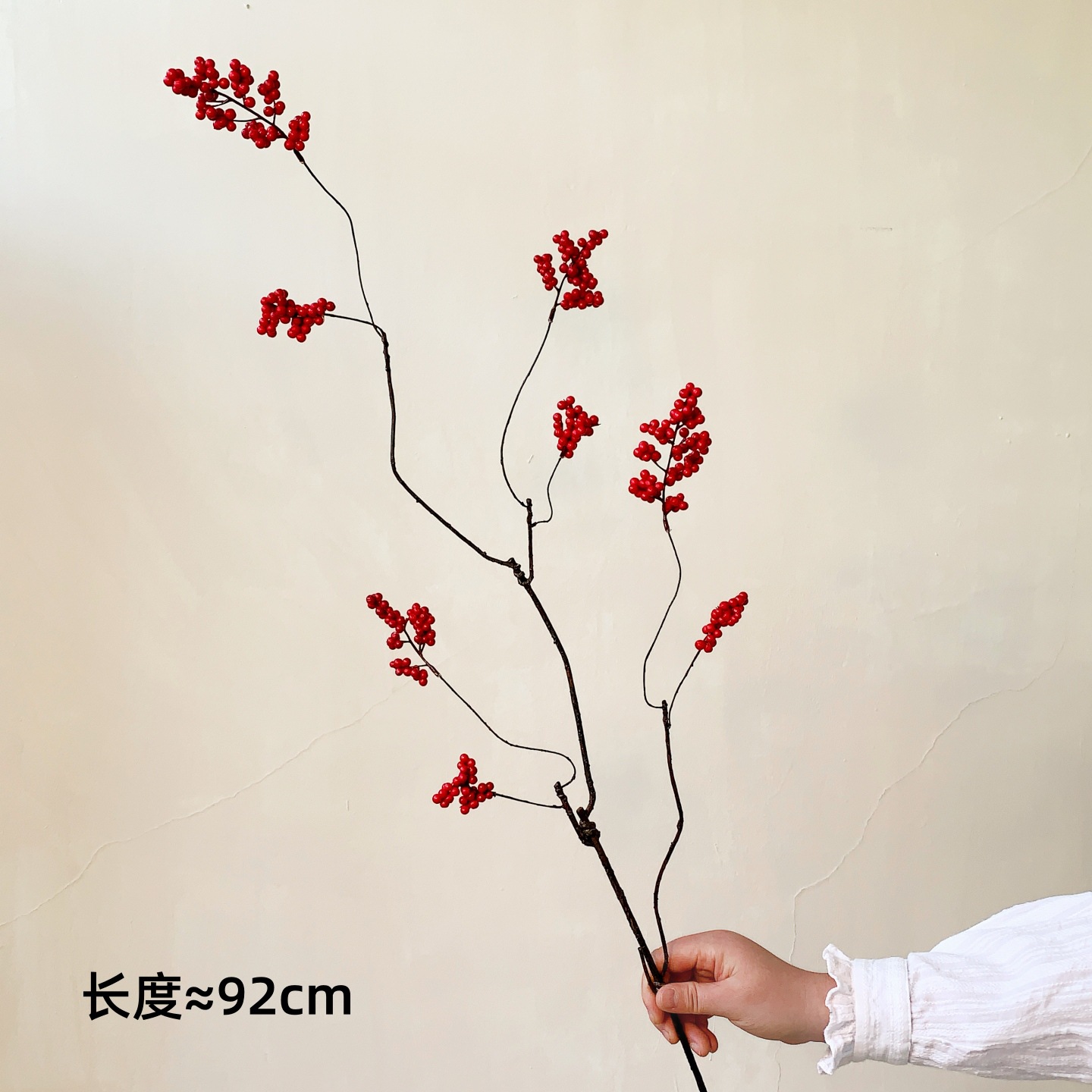 긴 가지에 붉은 열매가 가득