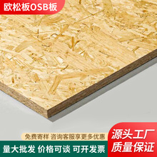 ENF���W�ɰ���b�oȩosb�������ȫ�ݴ�׵��ľ�屳�����b����