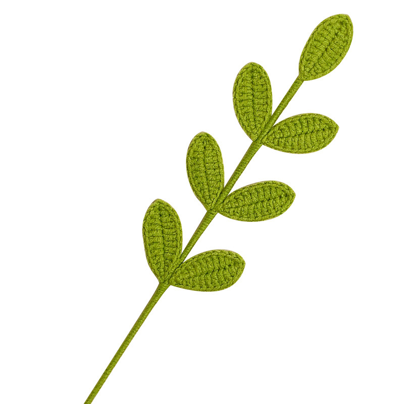 Arreglo floral de eucalipto tejido a mano de lana con hojas decoración de hojas verdes de todo fósforo flor eterna sala de estar ramo de graduación producto terminado