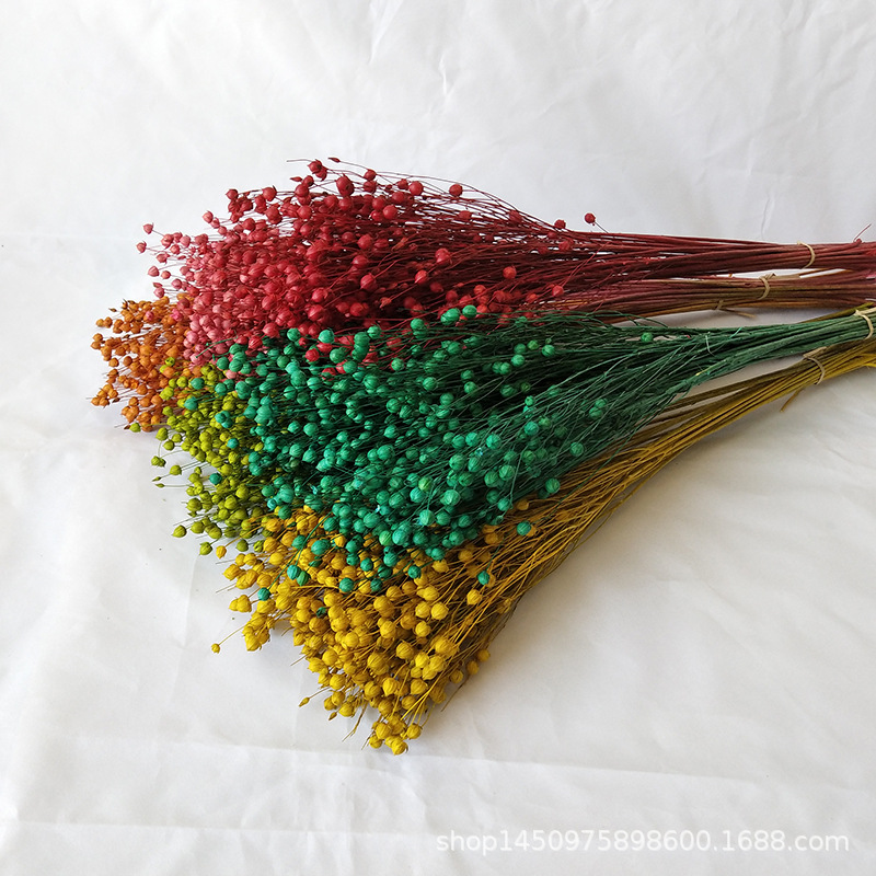 Xiangsi frijol ramo de flores secas flor bricolaje rojo rico Lino frijol decoración del hogar Yunnan artesanía regalo al por mayor