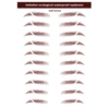 DMT-004 brown A