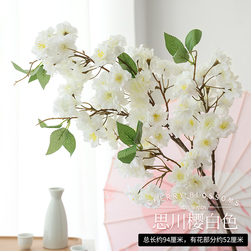 쓰촨 사쿠라 화이트