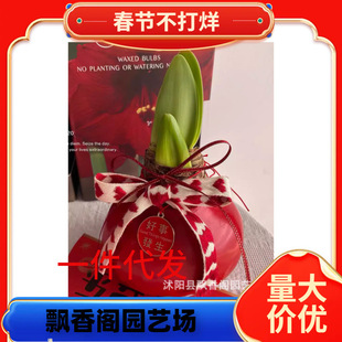 ��피tϞ���Ϟ�ذ���피t�N���_�������ش��҃��̨����ֲ�ﻨ��