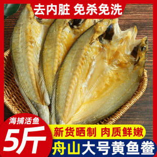 ���ڜ����خa�|���S�~�����r������~�S���~���S�~���r��؛�S�~��