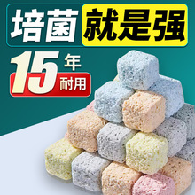 ~^Vϼ~пʯӢÃˮV΢Сu