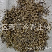 �Qʭ,���Qʭ,Ұ���}����,�`���ӣ�ș�Ă��ο�ֲ��Ұ���}���Ĺ���