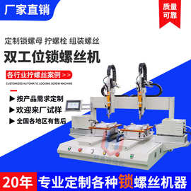 全新坐标自动锁螺丝机 双工位全自动打螺丝机 吹气式自动拧螺丝机