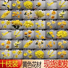 ʮ֦�b�S�����l�Sɫϵ��Y���滨�¿�����Ɍ��b��ٻ�