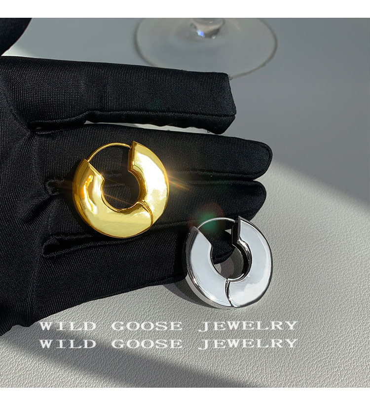 10g Weight Earrings Classification 1 Pair Quantity Daily Occasion Metal Material Geometric Pattern Women'S Gender Plating Design Fashion Style 1 Pair Fashion Geometric Metal Plating Women's Earrings 7