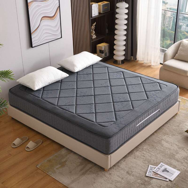 Bedroom Mattress Graphene Constant Temperature Far Infrared Cushion Protective Soft Cushion Mattress Tatami Household Double Simmons Mattress