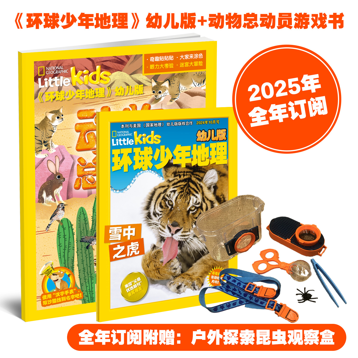 环球少年地理杂志 2025年预定全年杂志铺6-12岁儿童科普百科书籍