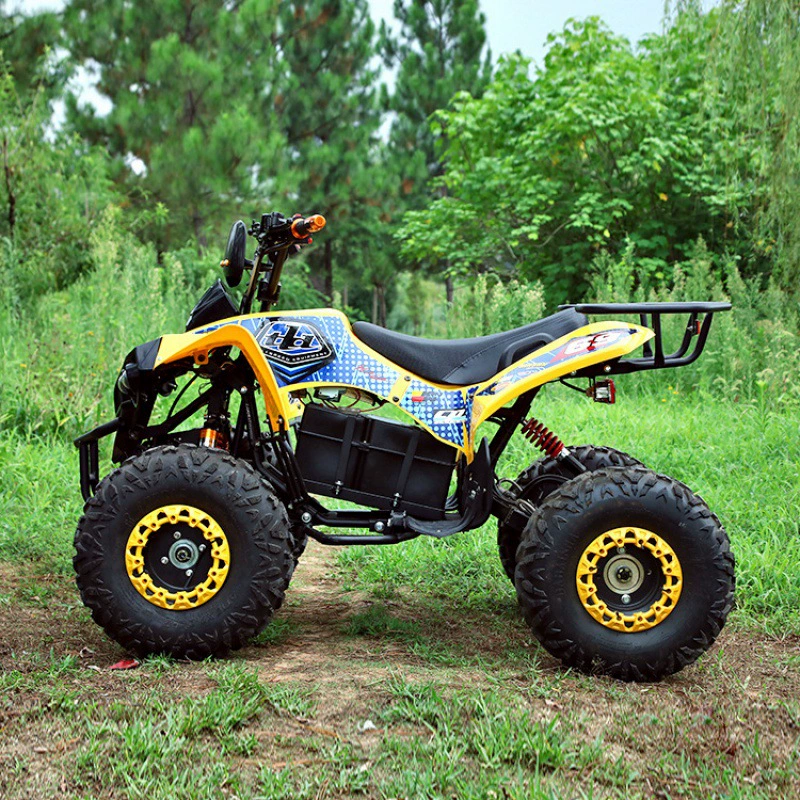 Электрический ATV электрический пляжный автомобиль внедорожник все-снег пляжный автомобиль четырехколёсный мотоцикл 110cc