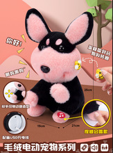 爆款第三代蜜蜂狗抖音热卖电动毛绒仿真宠物狗学说话唱歌儿童礼物