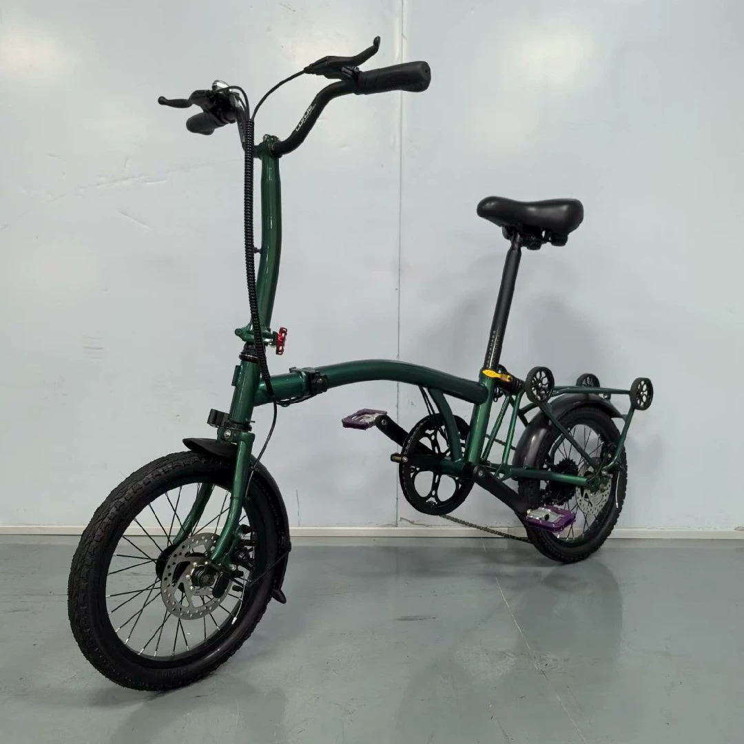 Folding ultra light handheld bike, internet celebrity