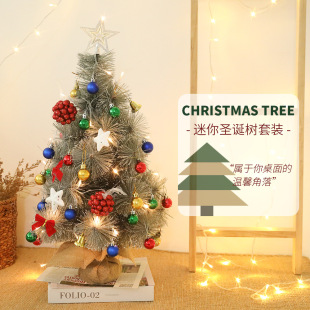 Mini Christmas Tree Package 60cm Pine Needle Tree Led Light-Emitting Home Shopping Mall Window Table Decoration Christmas Decoration