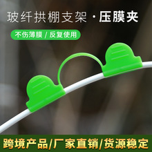 ?���w�p�^���ϾGɫ�A�ӈ@ˇ�������֧�ܷ��L��Ĥ����ů��Ĥ�̶�