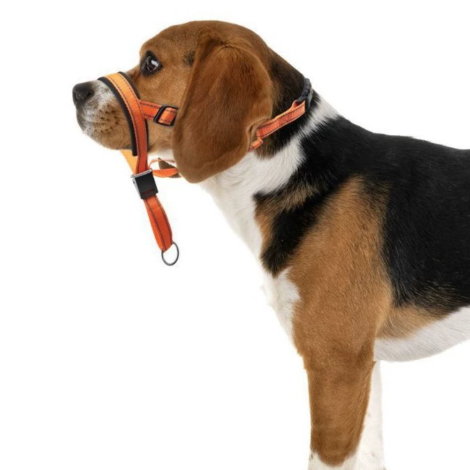 Рот для домашних животных