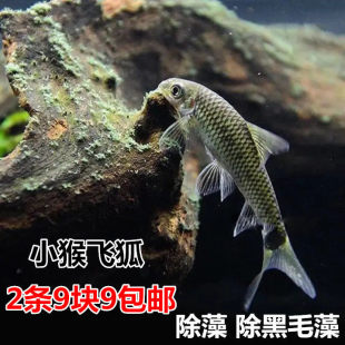 С���w��/һ�� ���w�� �ݸ׹����~ �������ë�儂ë�� �坍�~��