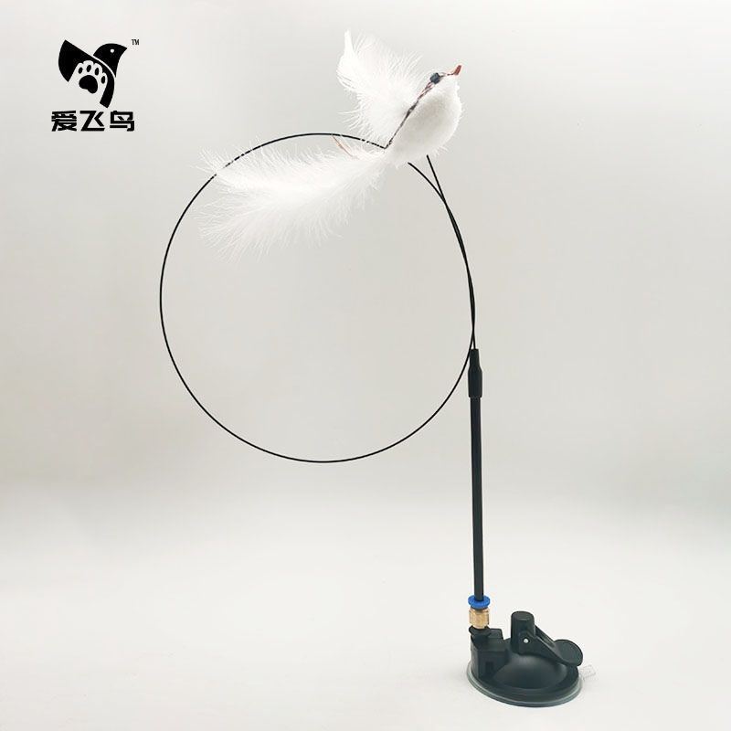 화이트 Xuanque 일반 빨판 고양이 티저 (이동식)