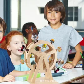 收纳架;收纳盒;木质工艺品