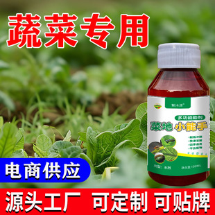 Vegetable insect expert plant essential oil repellent vegetable cabbage flower gardening green plant suitable
