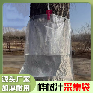 ���Ƙ��֭�ɼ����ܷ�Ӻ�ʳƷ����ˮ�����ʽ��֭�ɼ�Һ�w���b��