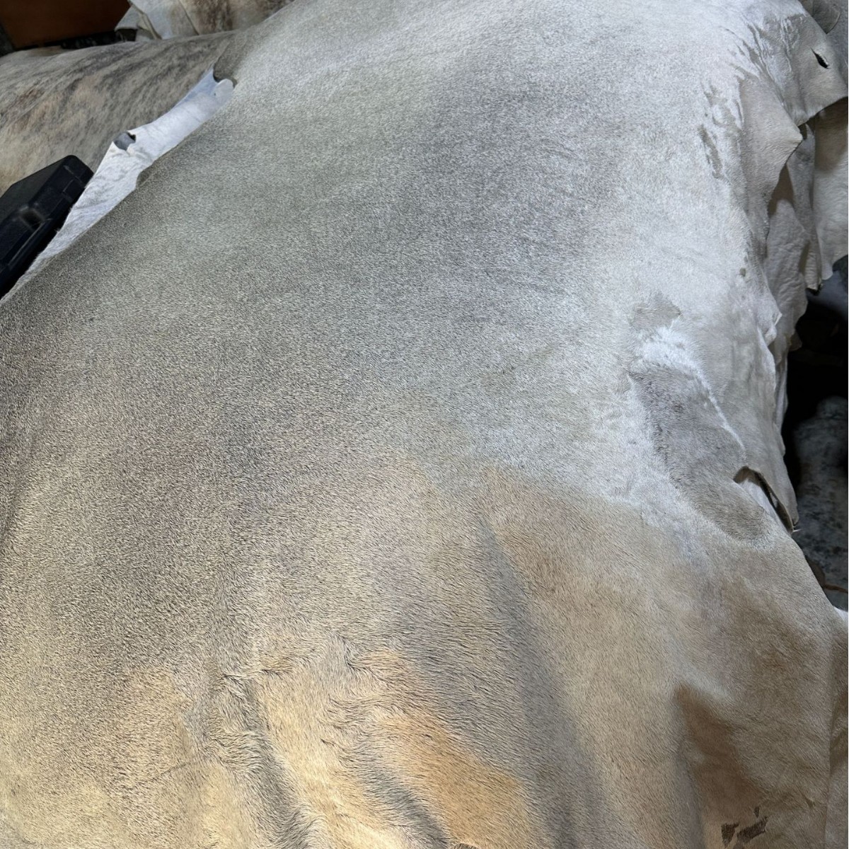 2025-04-26 13:17:05.jpg