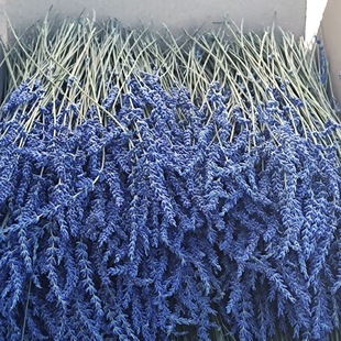 �½�޹�²ݸɻ� Ѭ�²ݸɻ���diy�b廨޹�²ݻ�����֦�»����l