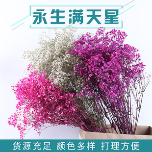 Modern simple eternal flower baby's breath star bouquet 120g dried flower factory wholesale indoor home decoration diy material