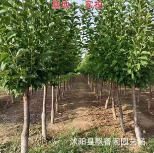 ���Ә������ڼ޽Ӈ����������ͺ��ͺ����Ե����ϱ����Nֲ�������