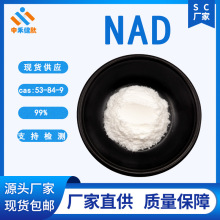 工厂β烟酰胺腺嘌呤二核苷酸99.9% NAD 53-84-9 NAD+辅酶l 酶法