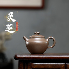宜兴紫砂壶原矿清灰段泥灵芝泡茶壶家用功夫茶具密文厂家一件代发