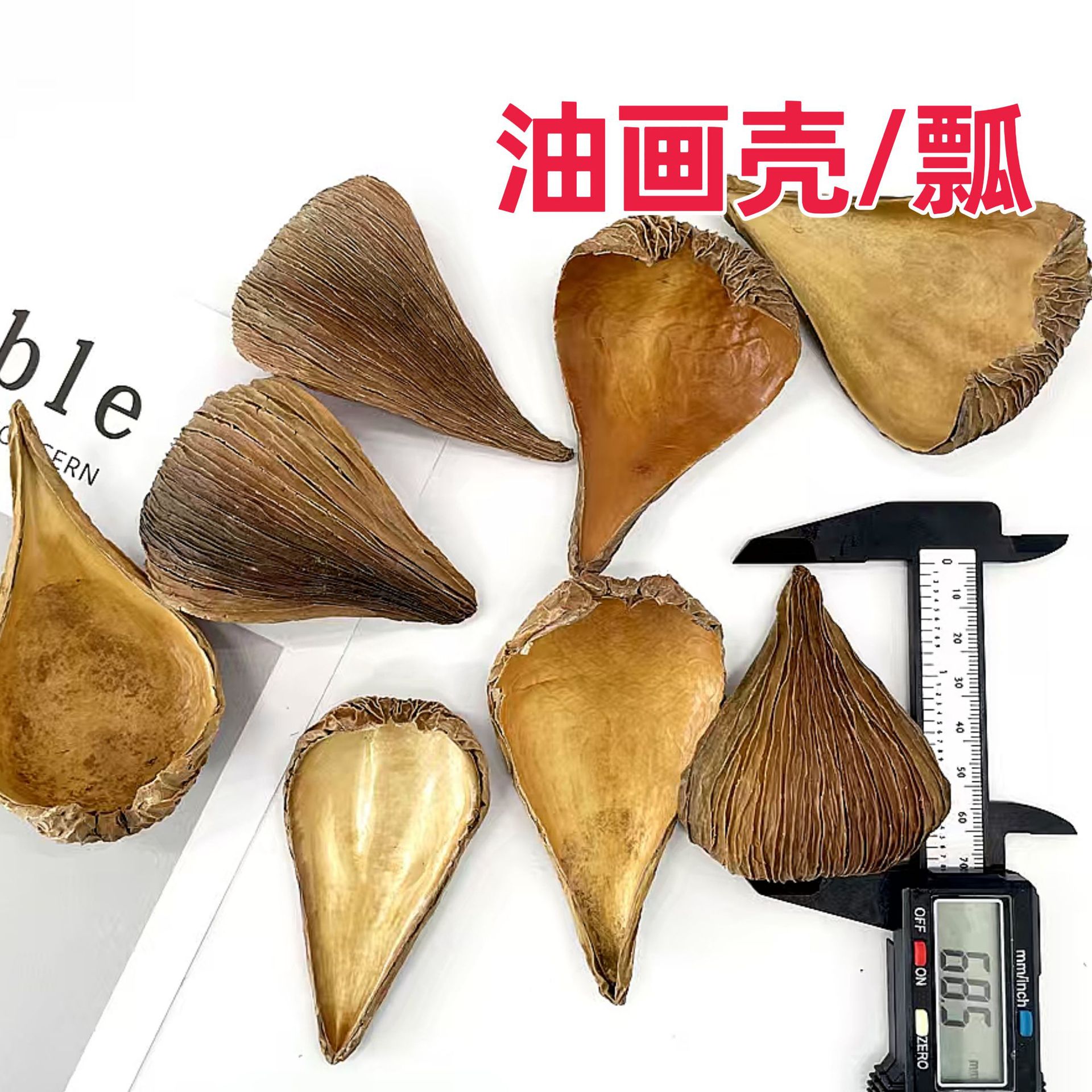 ��Ҭ�ӻ������ӵ���������Ȼ�ɻ�����Ҭ�ӿǻ�DIY�ֹ���Ӱ����