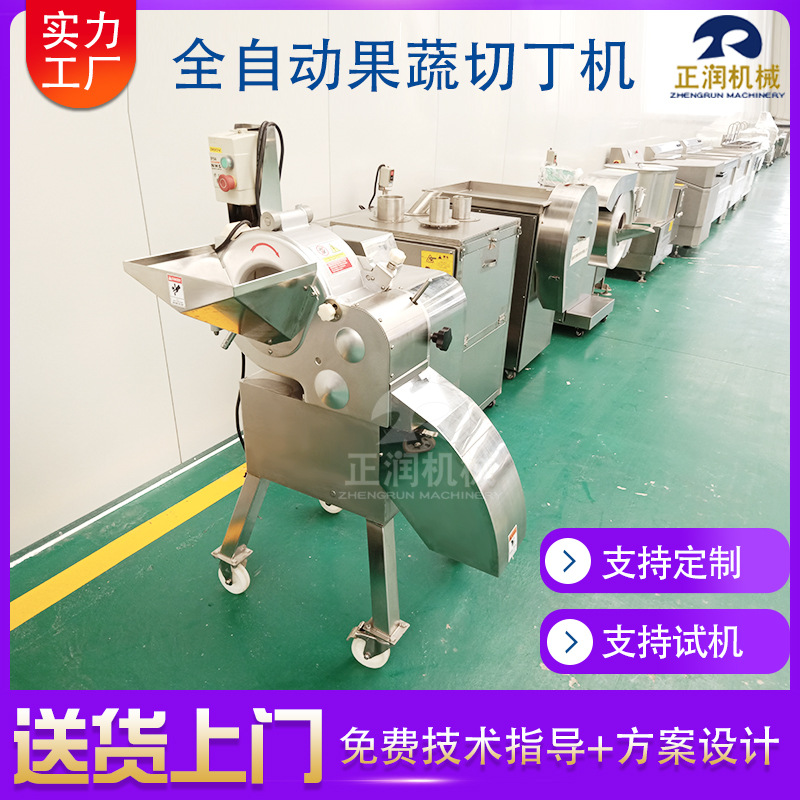 厂家供应罐头厂三维切丁机 全自动草莓切粒机 商用长寿果切丁机