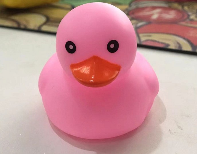 파우더 오리 혼자