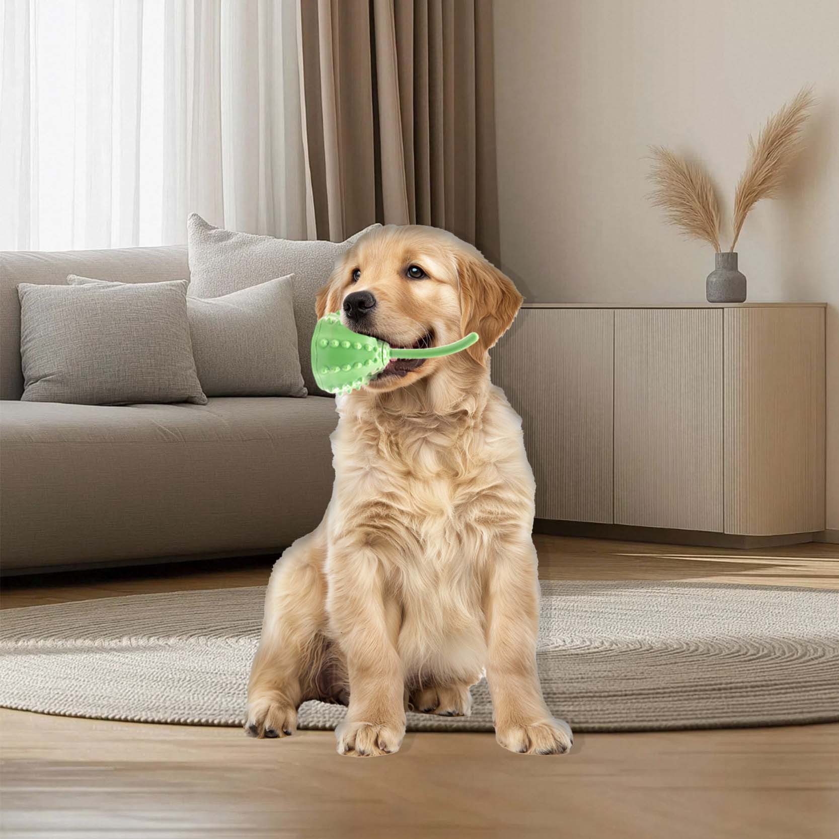 Juguetes molares transfronterizos para mascotas