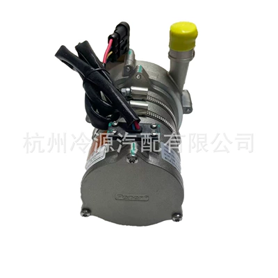 Baineng Electronic Water Pump Water pump