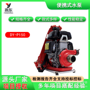 ��������p���ӳ�ˮ�ø߉�΢����������ˮ��DY-P150��yʽˮ��