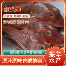 ���l����С�t�^�~ �a��؛Դˮ�aƷ���ɼt������ζ����Ʒ