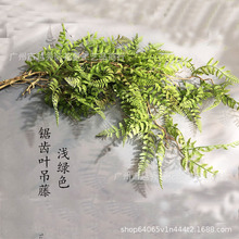 仿真绿植肾蕨排草蕨类植物天门冬大把束垂挂蕨草波斯蕨装饰壁挂