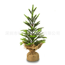 �羳��Ʒ������������}�Q��35CM������}�Q���b���Ʒ�����b���l
