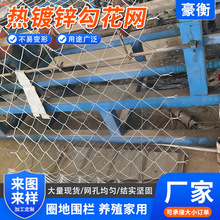 矿用菱形网编织勾花网热镀锌勾花网圈地果园防护网铁丝网勾花网