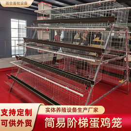 四层四门阶梯式蛋鸡笼农用家禽蛋鸡笼食槽养殖蛋鸡笼机械设备