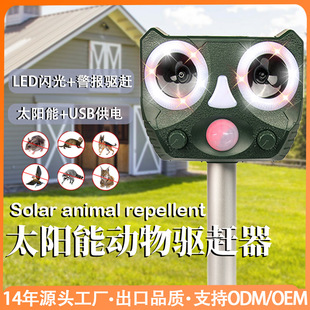 �羳����̫��܄�����s�� ������B���؈���� ���ⳬ�������