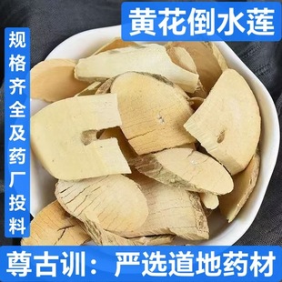 �^���� ��ș�� �S����ˮɏ �S���� �u�И� �����S �S����ˮ�B