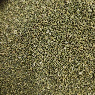 ���� �������ײ軱������ș�� ���]��ĥ������ă�ș��