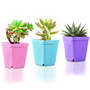 Small colorful plastic flowerpot flower-shaped, wholesale