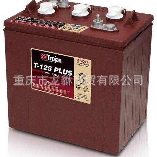 原装邱健T-145 邱健T-125 邱健T105 圣阳 6-FM-386-FM-24 6FM55